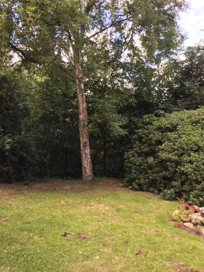 Apartamento Mühlenweg- Tante Lise Süderlügum Exterior foto